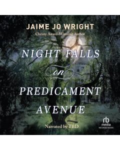 Night Falls on Predicament Avenue