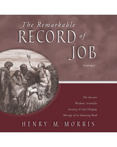 The Remarkable Record of Job