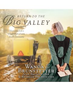 Return to the Big Valley