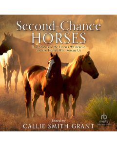 Second-Chance Horses