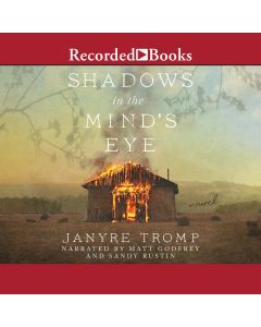 Shadows in the Mind's Eye