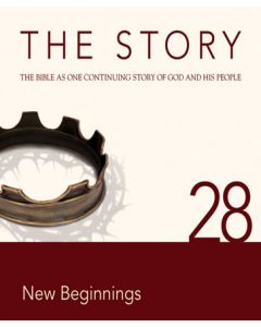 The Story Chapter 28 (NIV)