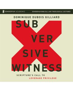 Subversive Witness Audio Lectures