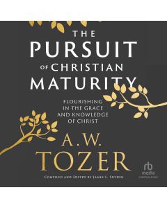 The Pursuit of Christian Maturity