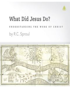 What Did Jesus Do? Audiobook