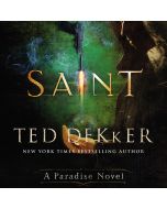 Saint (The Books of History Chronicles)