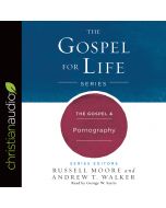 The Gospel & Pornography (Gospel for Life Series, Book #7)