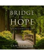A Bridge of Hope