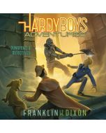 Dungeons & Detectives (Hardy Boys Adventures, Book #19)