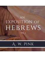 Exposition of Hebrews, Vol. 1