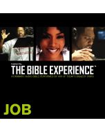 Inspired By … The Bible Experience Audio Bible - Today's New International Version, TNIV: (17) Job